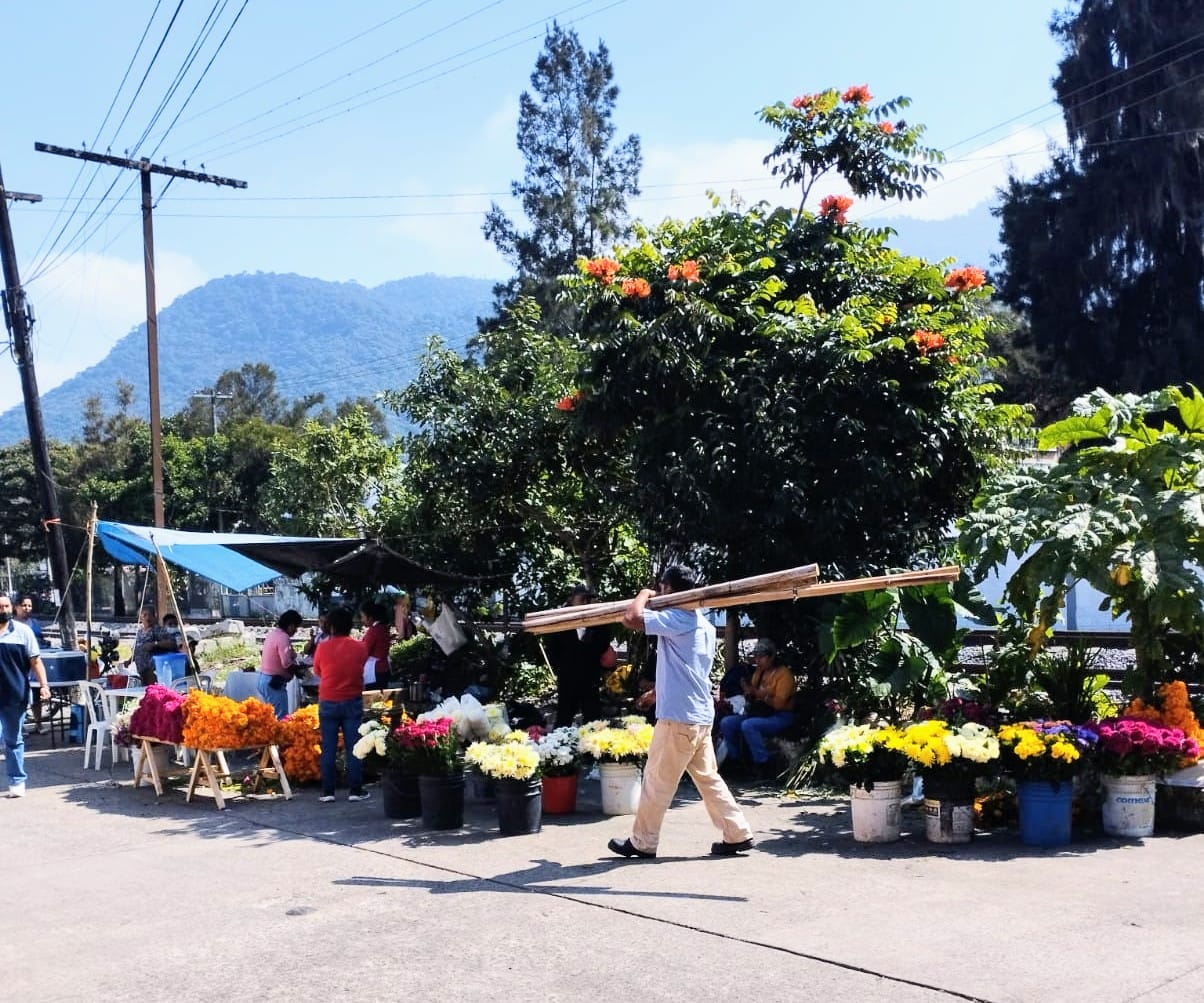 Se instalan vendedores enfrente del cementerio de Nogales