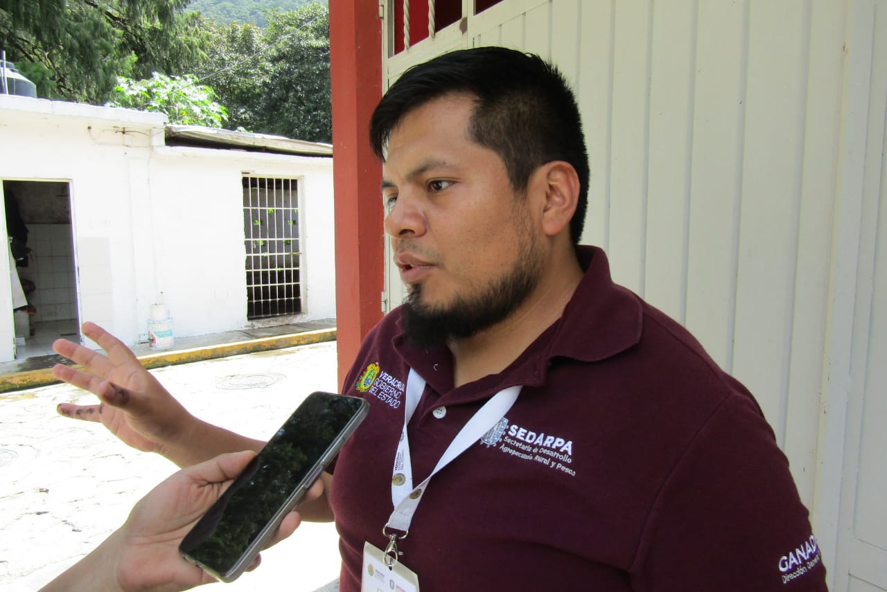Autoridades estatales efectúan nueva supervisión al Rastro Municipal de Nogales Veracruz