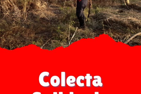 *AYUDANOS A SEGUIR AYUDANDO*