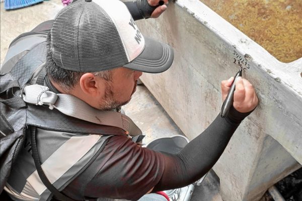 Decidido combate al Dengue, en la ciudad de Nogales, Veracruz