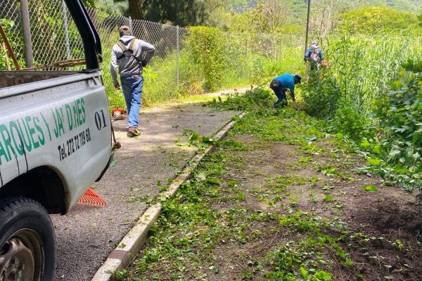 Realizan tareas de limpieza en las orillas del Paseo de los Ahuehuetes